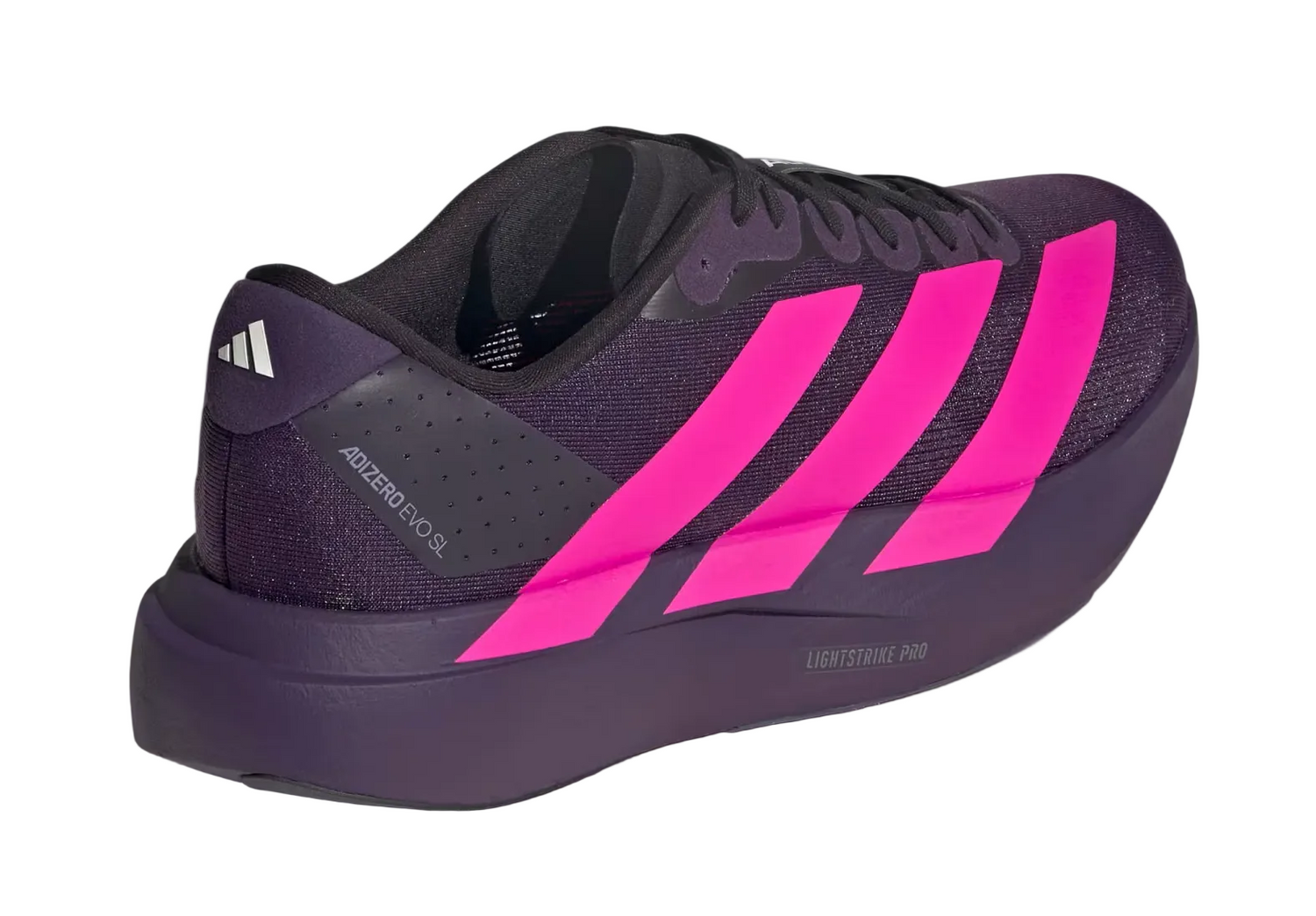 Adidas Adizero Evo SL | Aurora Plum, Shock Pink
