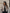 Cropped Utility Jacket | Modern Tailored Layering Piece