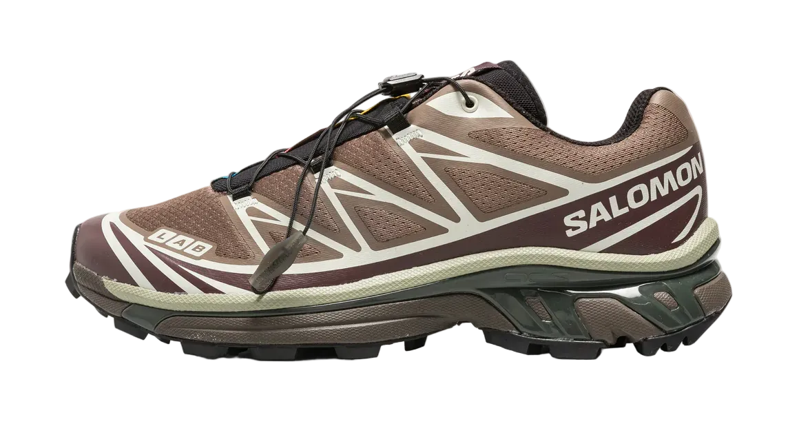 Salomon XT-6 GORE-Tex Women's Trail Running Shoe in Earth Walnut Huckleberry-Urban Chic