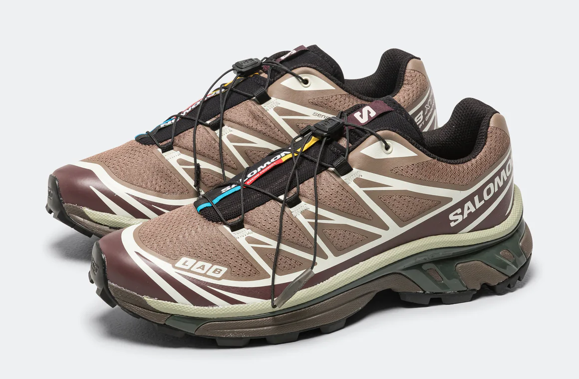 Salomon XT-6 GORE-Tex Women's Trail Running Shoe in Earth Walnut Huckleberry-Urban Chic